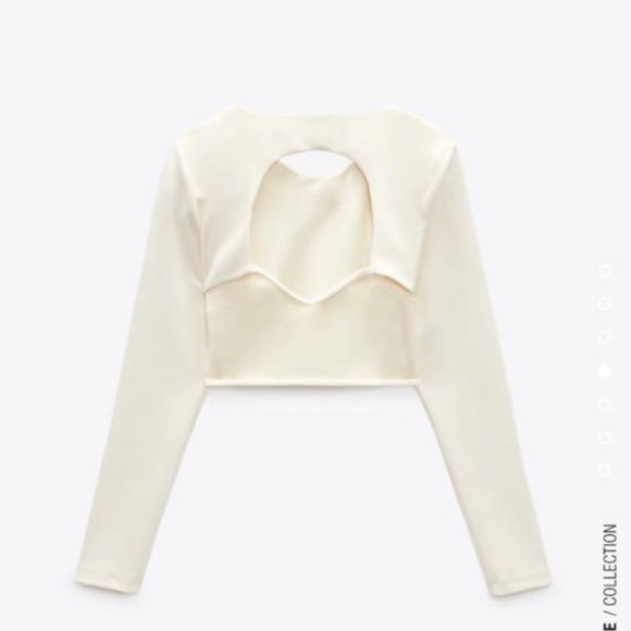 Zara Open Back Crop Top + Skirt Set - Picture 4 of 12